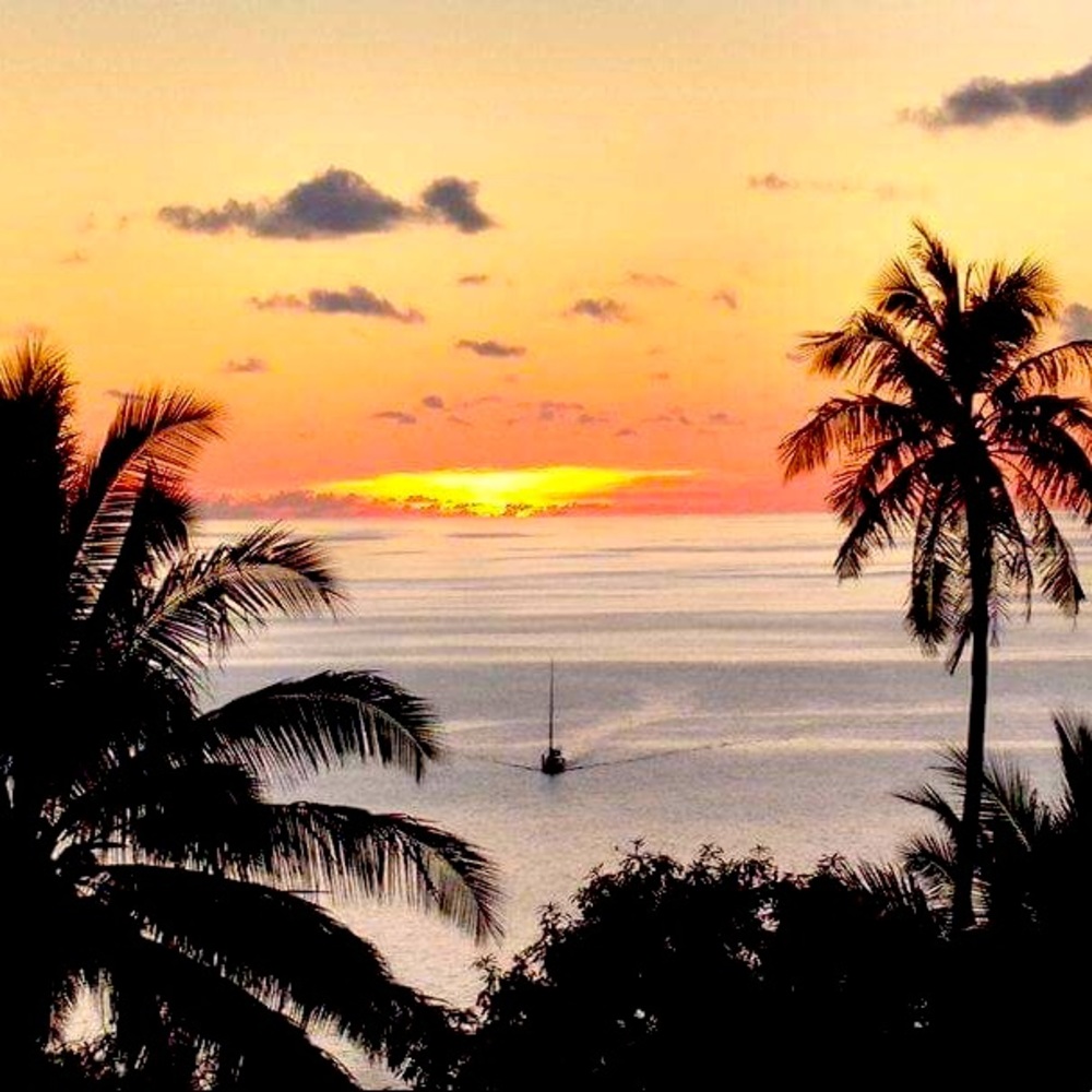 Meet your Posher, Jasmin